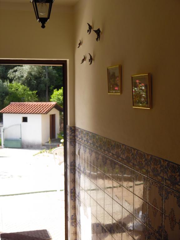 Holiday Home Mortagua Vila Boa  Dış mekan fotoğraf